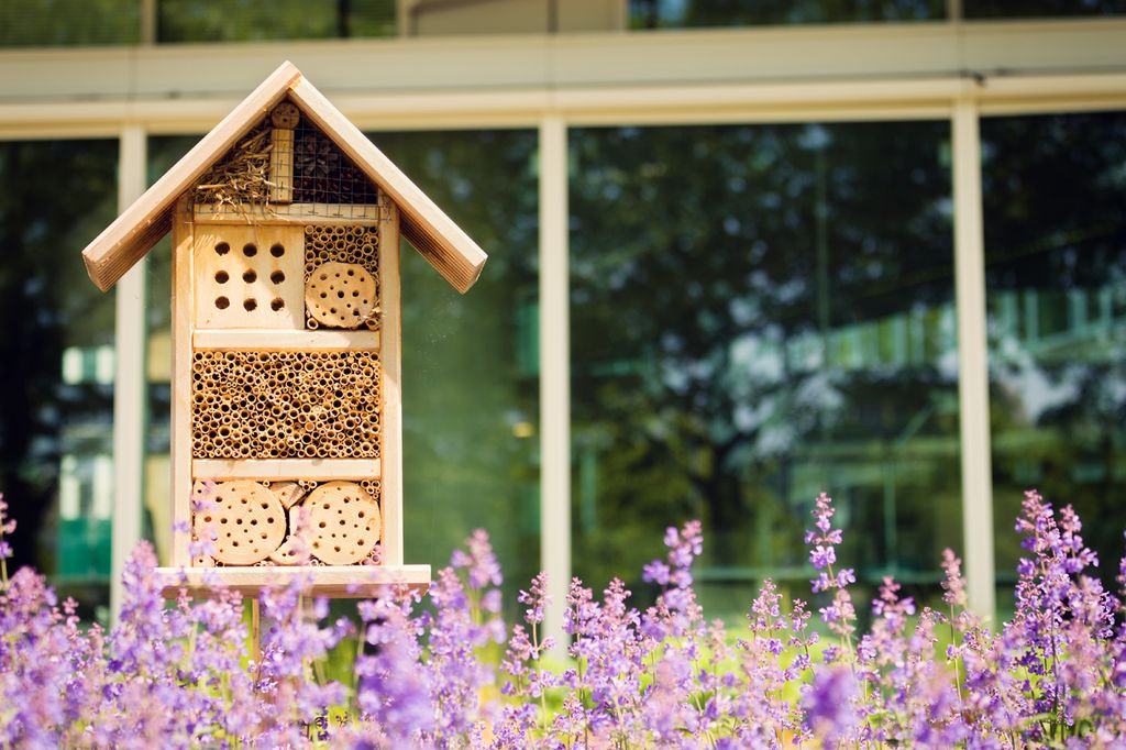 Hotel de insectos bajo un mato de lavandas