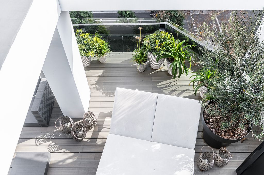 Terraza decorada con plantas de distinto tamaño, incluido un olivo (‘Olea europaea’)
