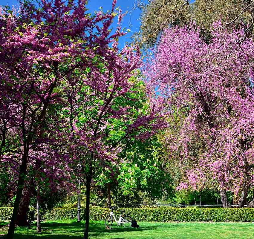 Madrid, parque del Retiro