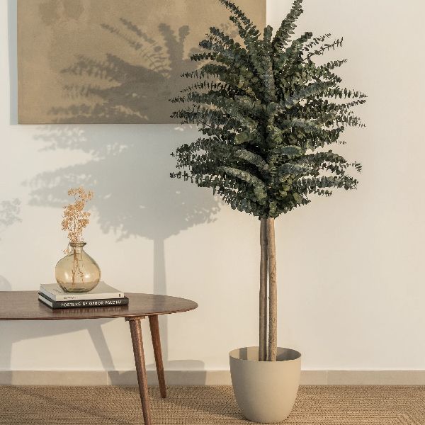 Árbol Eucalipto Preservado Baby Maia Shop