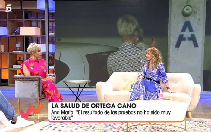 Ana María Aldón en 'Viva la vida'