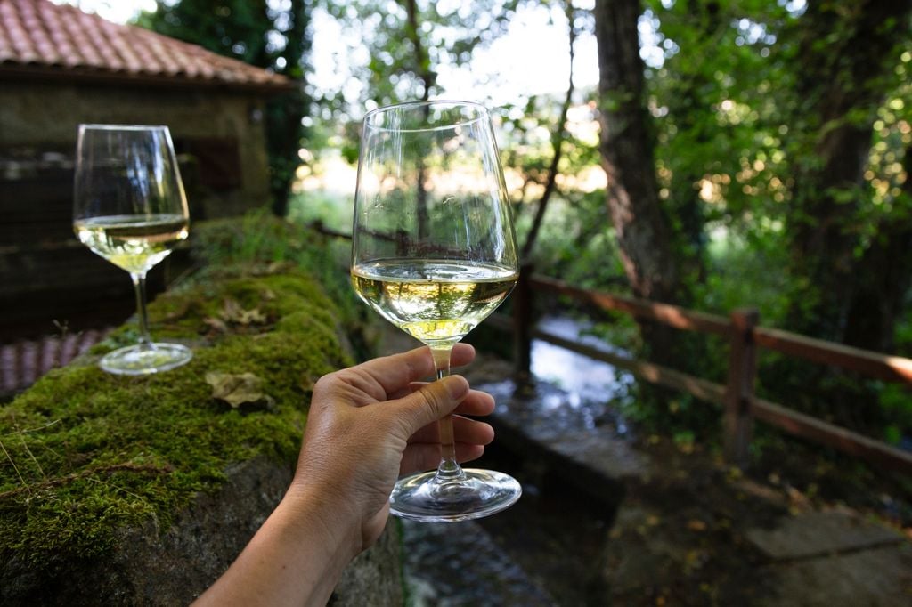 El albariño es uno de los vinos blancos más emblemáticos del mundo, que en agosto celebra su fiesta en Cambados (Pontevedra)