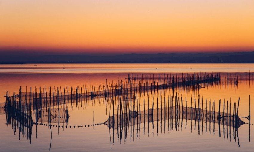 El atardecer tiñe de dorados y anaranjados el lago de la Albufera.