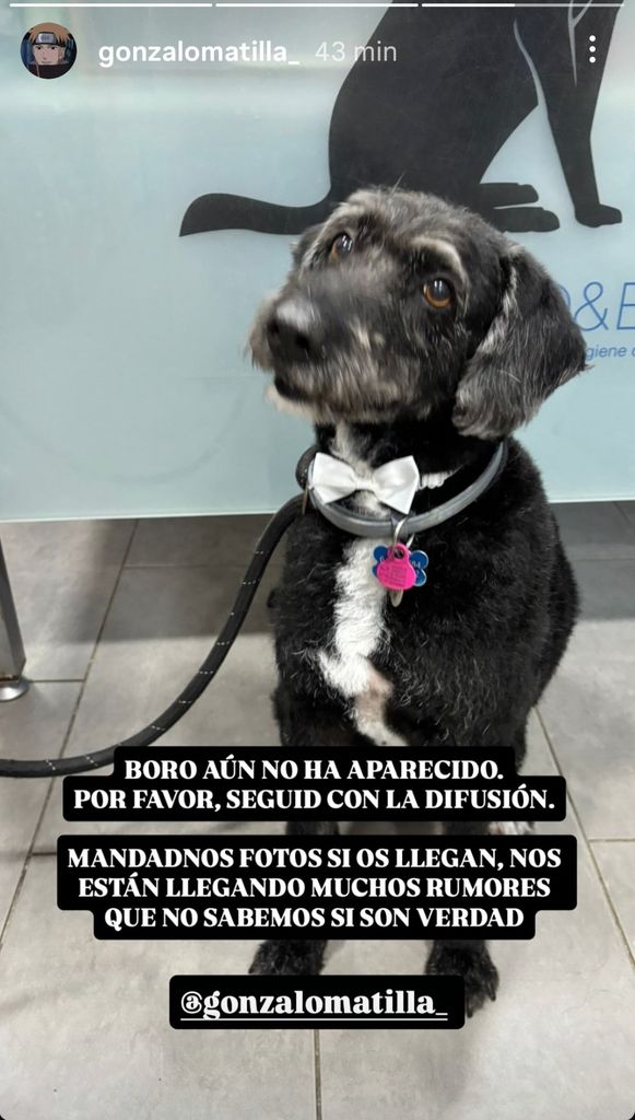 Dispositivo de voluntarios y rescatistas especializados que participan en la búsqueda de Boro en el entorno del accidente de Adamuz