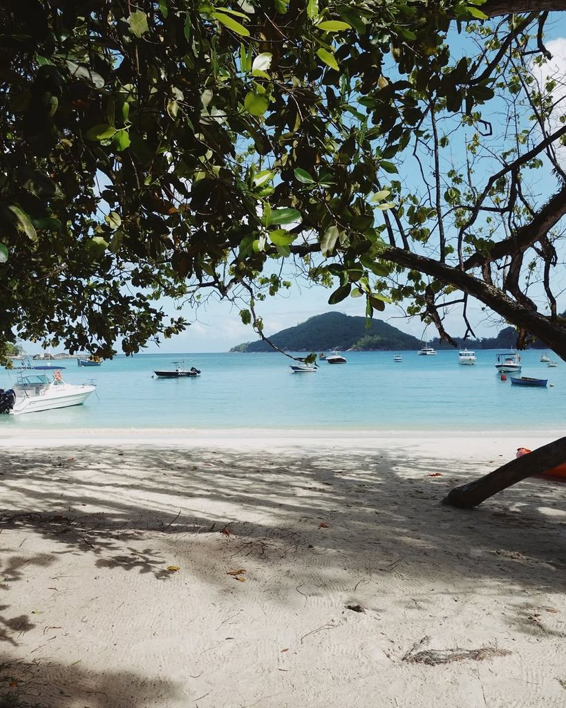 Ale Capetillo y Nader Shoueiry comparten las fotos de su luna de miel en las islas Seychelles