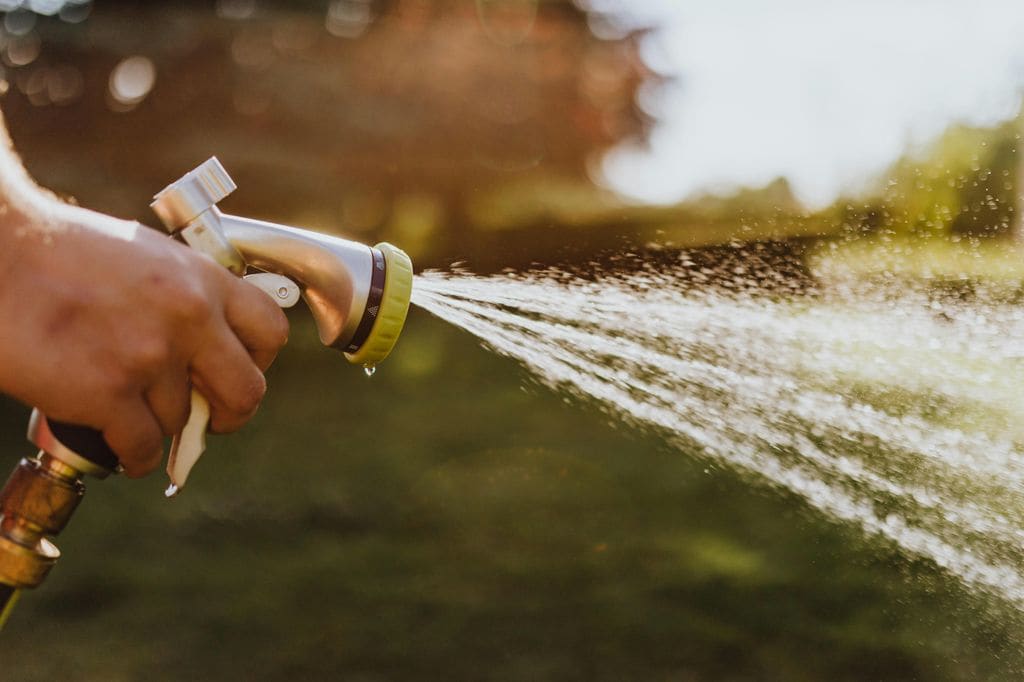 El granado no es un árbol especialmente demandante de agua de riego, en los meses más cálidos bastará con regar dos veces por semana
