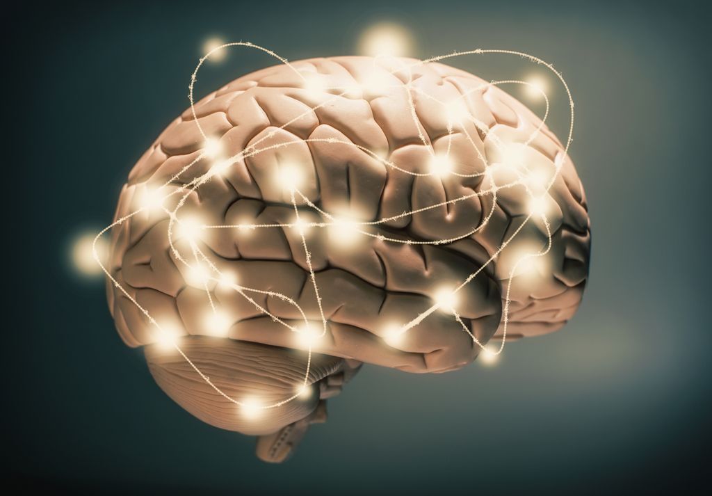 cerebro