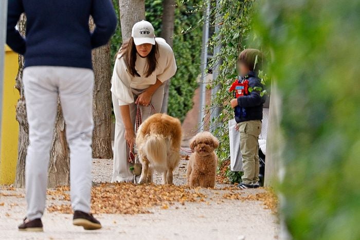 Tamara Falcó con sus perros