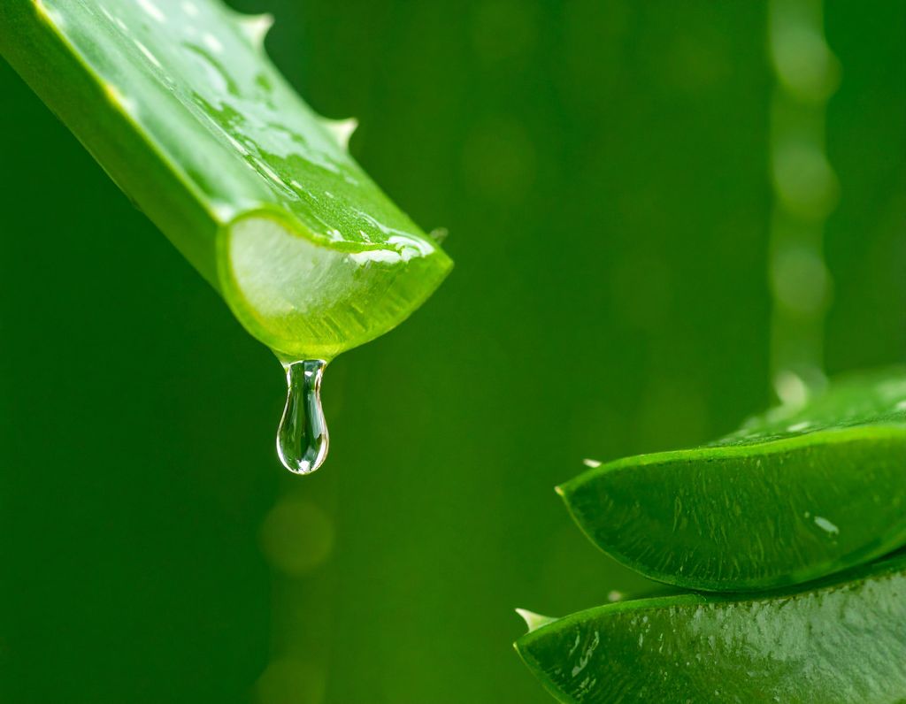 Aloe vera gel