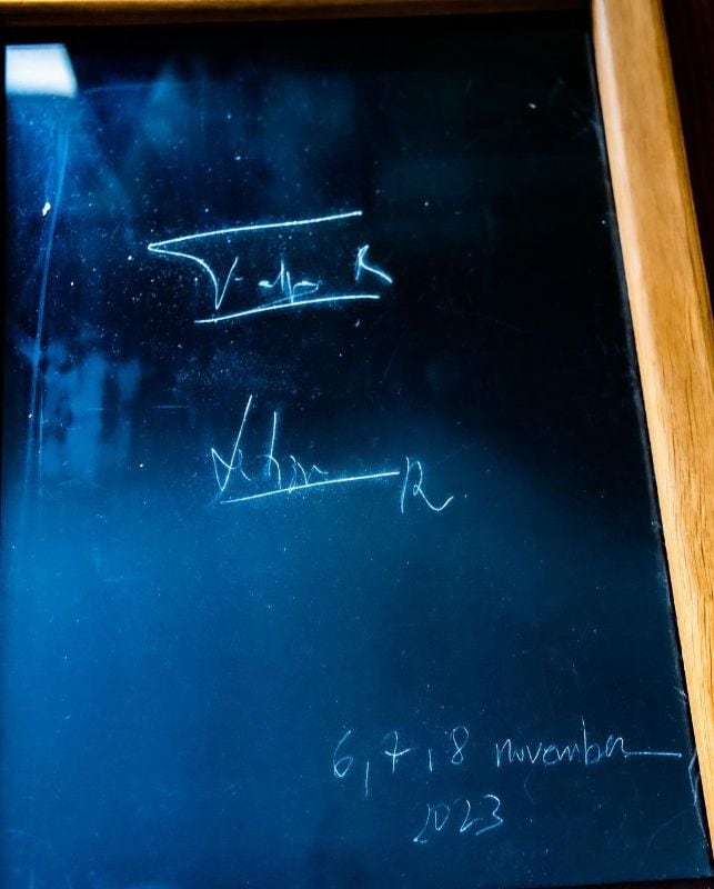 Firma de los reyes Felipe y Letizia 
