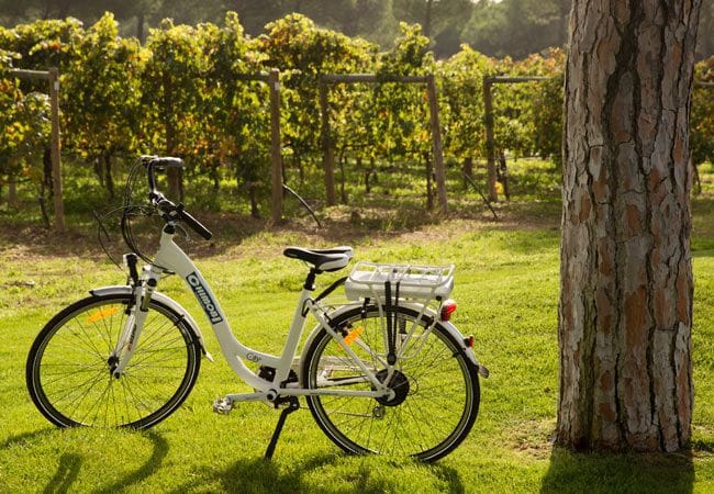 Quienes reserven una visita a la bodega 'Finca Villacreces' tienen además la posibilidad de recorrer los viñedos ‘a lomos’ de una bici con motor y descubrir así el paisaje de un modo diferente y muy divertido.
