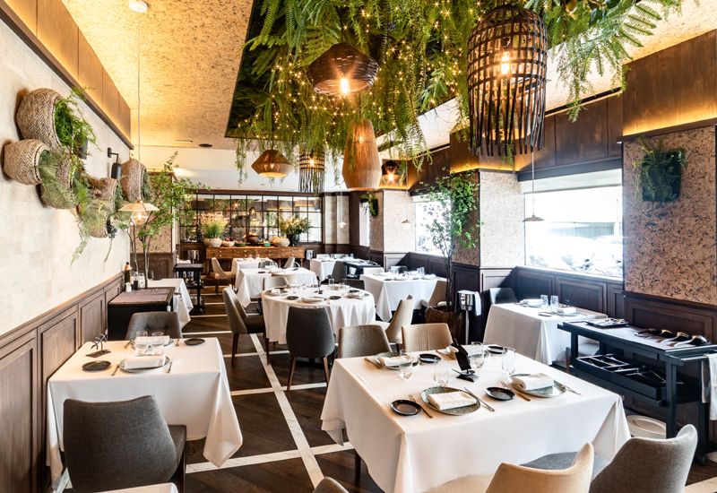 comedor