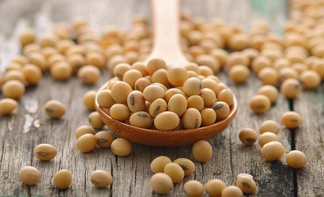 alimentomes soja 