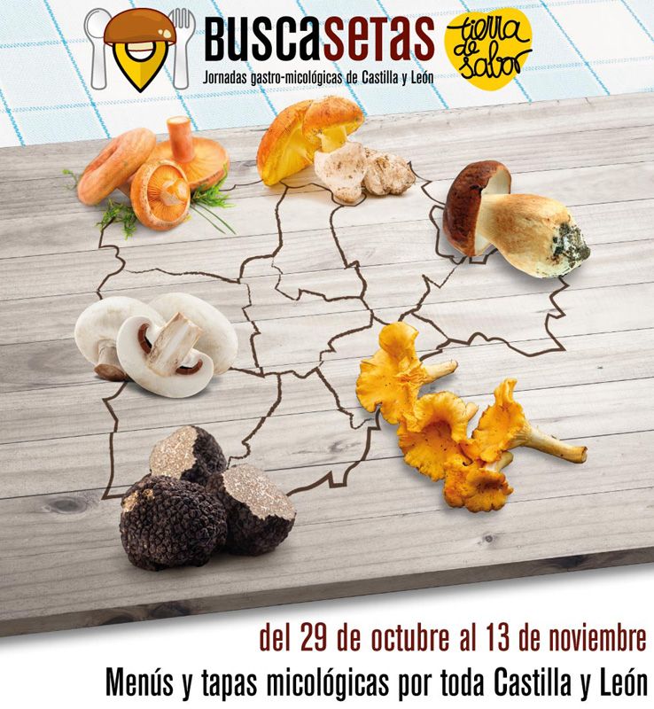 cartel-buscasetas22