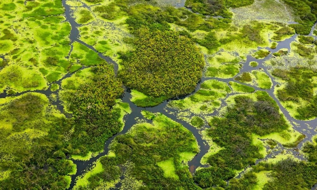 Botswana ¡HOLA! Viajes