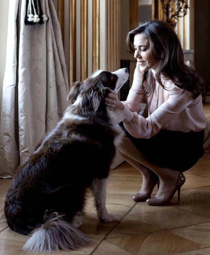 Fallece Ziggy, el perro de la familia real danesa