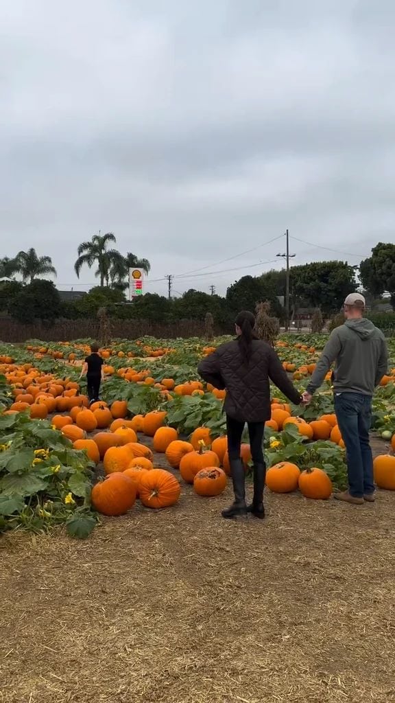 Los duques de Sussex se mostraron orgullosos de sus pequeños pelirrojos mientras escogían las mejores calabazas