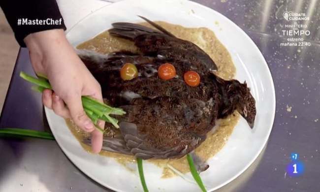 MasterChef