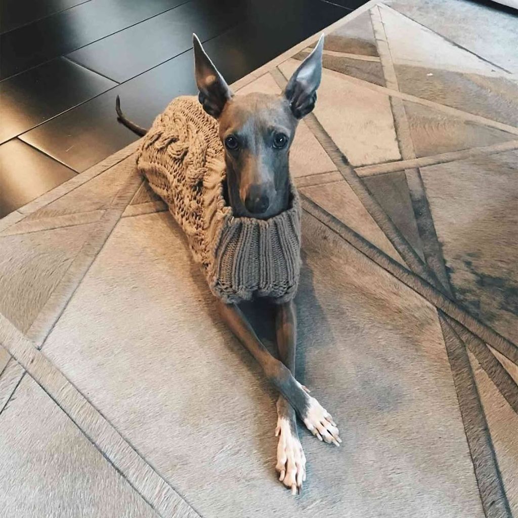 Norman ocupa un lugar muy especial en el corazón de Kylie Jenner