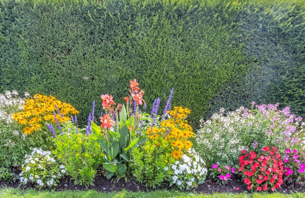Flores en el jardín