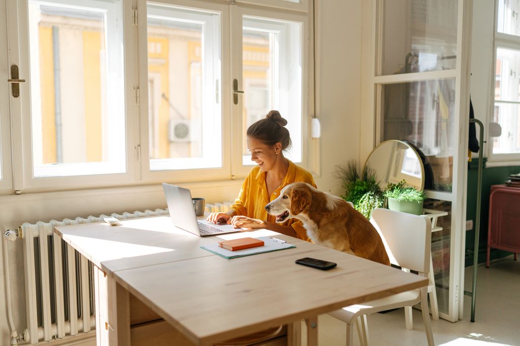 La crisis de la vivienda está impulsando nuevas fórmulas legales, como las donaciones condicionadas al cuidado de mascotas