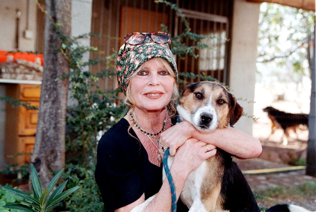 Brigitte Bardot vive en Saint Tropez con su esposo desde hace años.