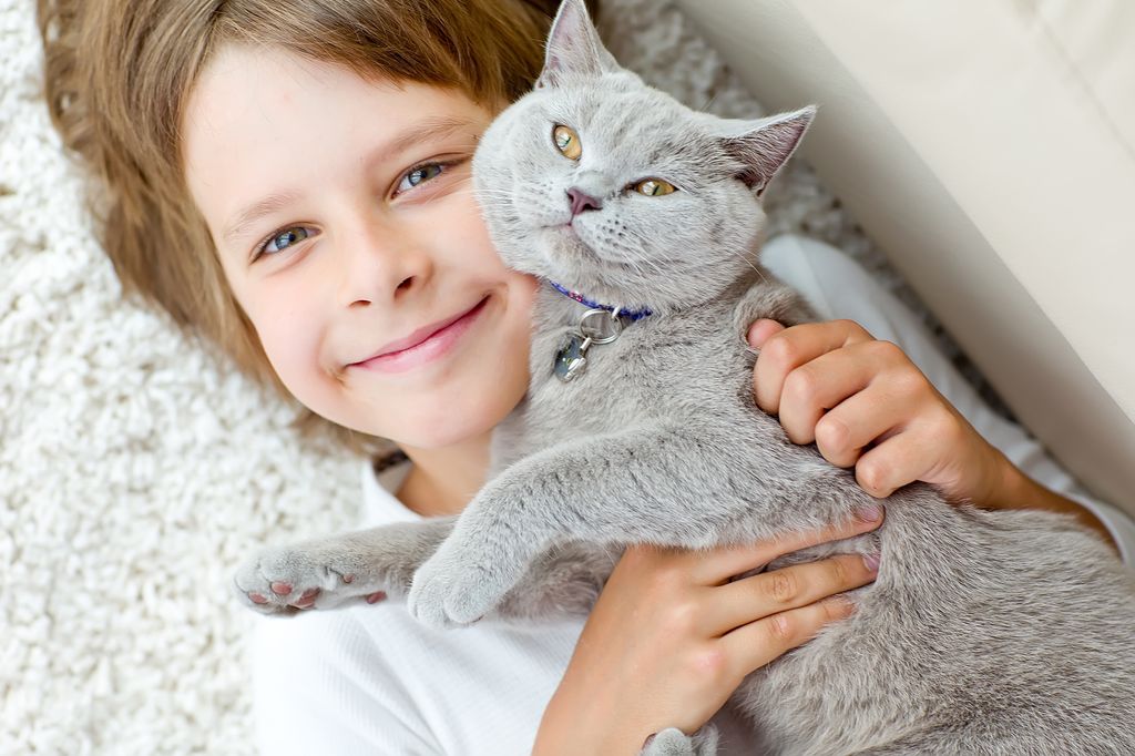 Niño con un gato