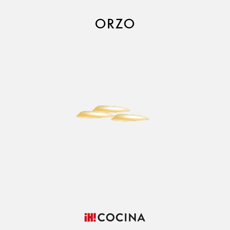 orzo-pasta-corta