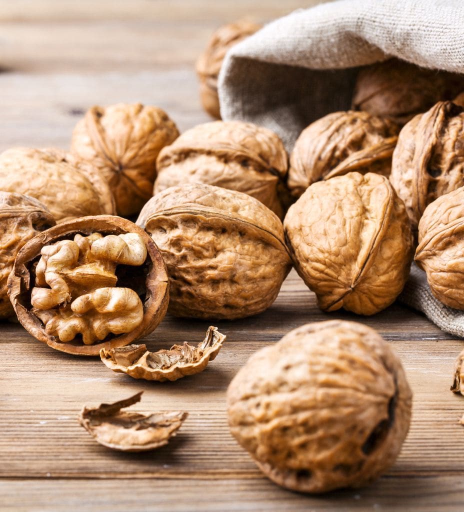 Nueces