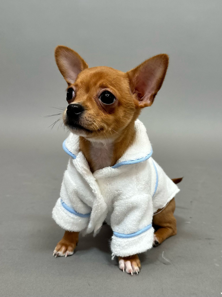 El vestuario de Bruiser también estaba hecho a la medida. 
