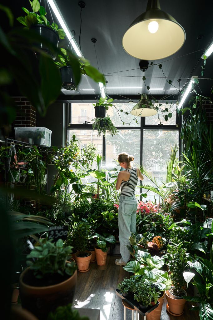 chica cuidando plantas