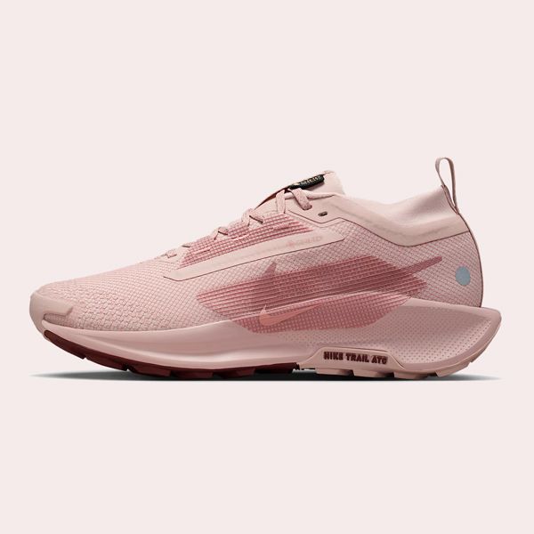 Nike Pegasus Trail 5 GORE-TEX