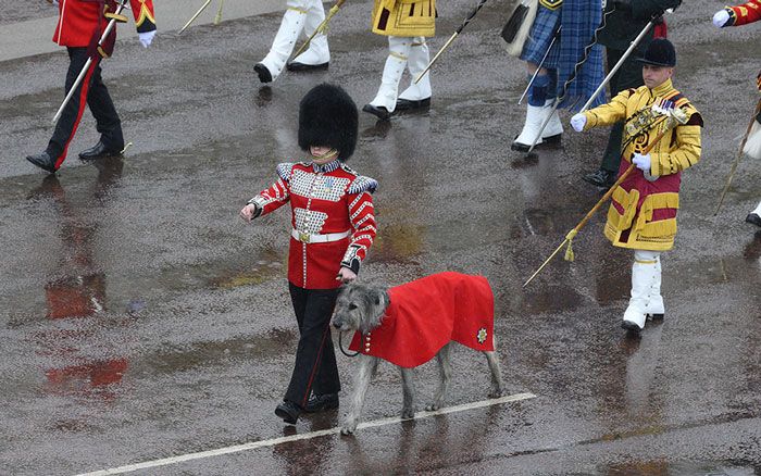 Cuerpos de seguridad en la coronación de Carlos III 