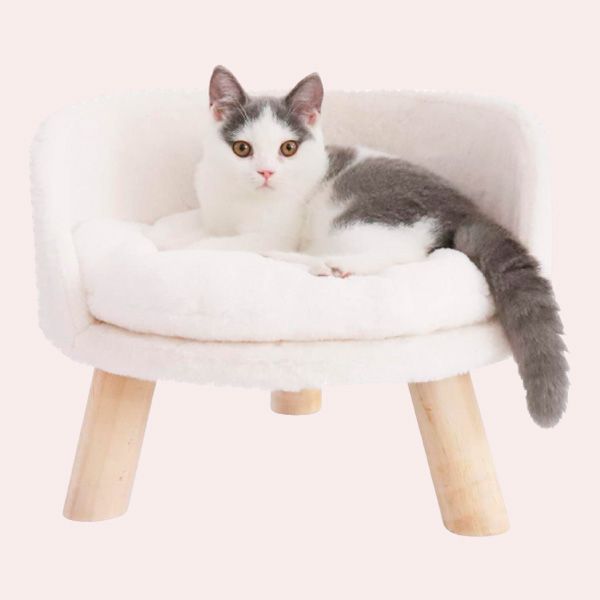 cama taburete gatos