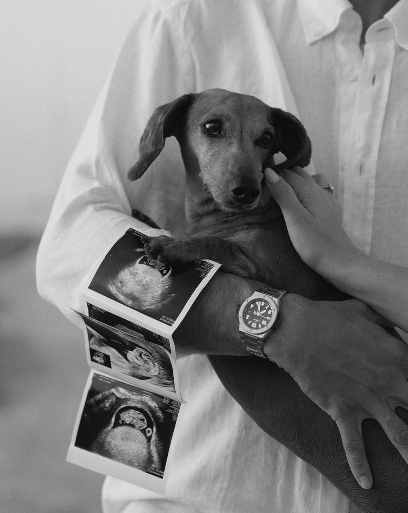 Su perrito en común, el encargado de anunciar los detalles