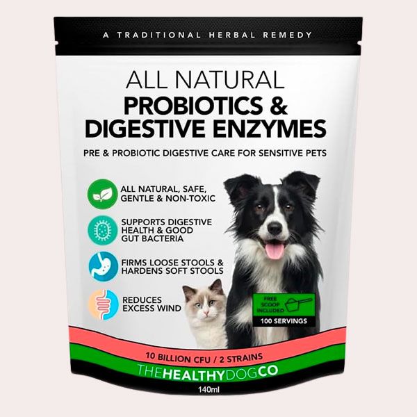 the healthy dog co
