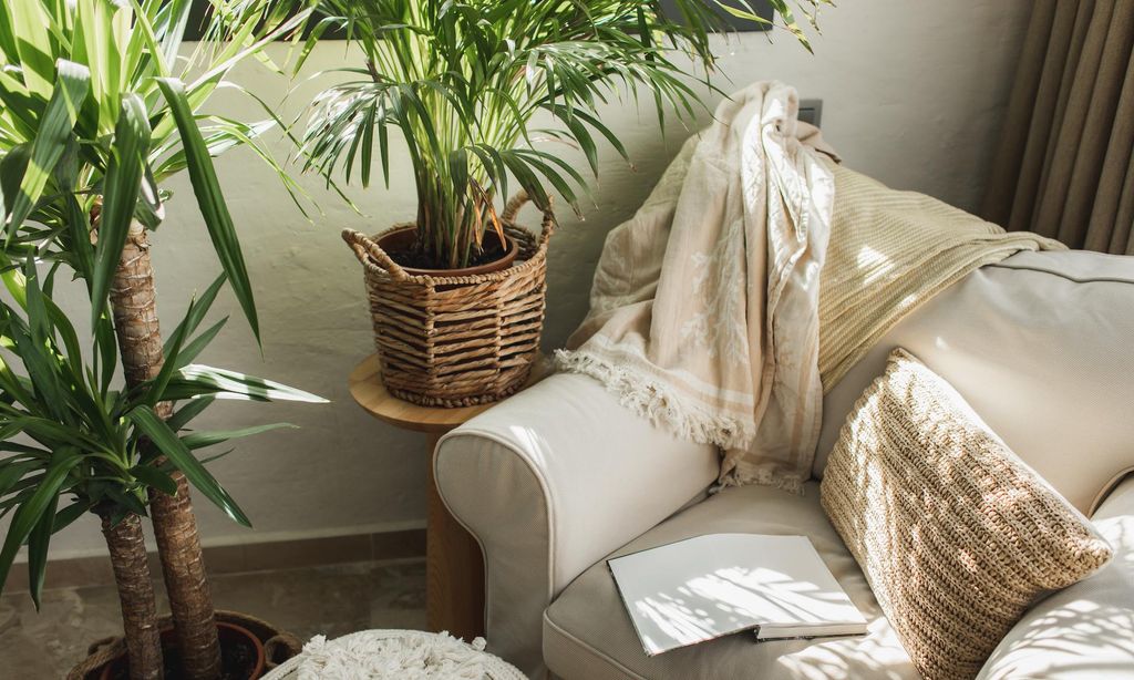 home decor