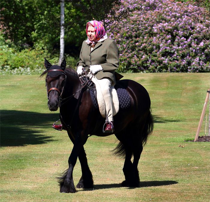 La Reina, montando en Windsor