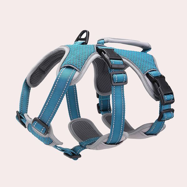 BELPRO Arnés de Apoyo Multiusos para Perro, a Prueba de Escape