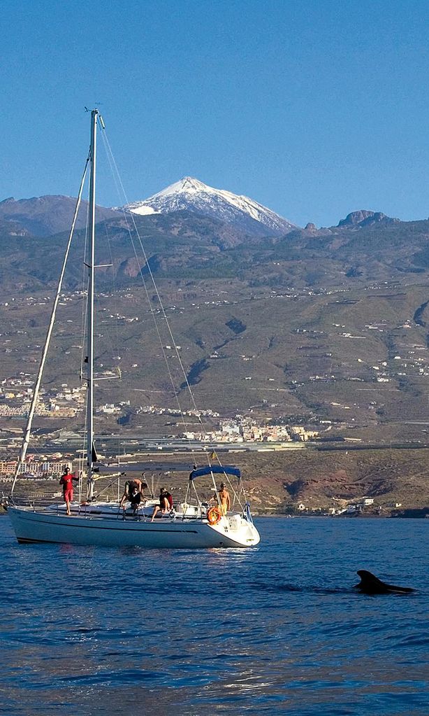 Tenerife VIAJES2124