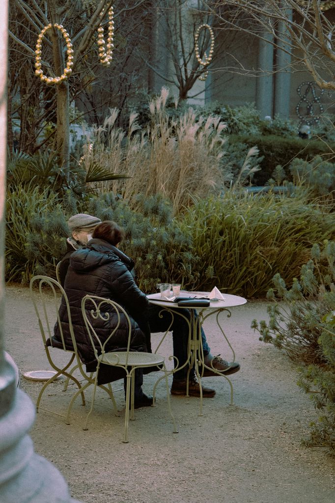 Jardín en invierno