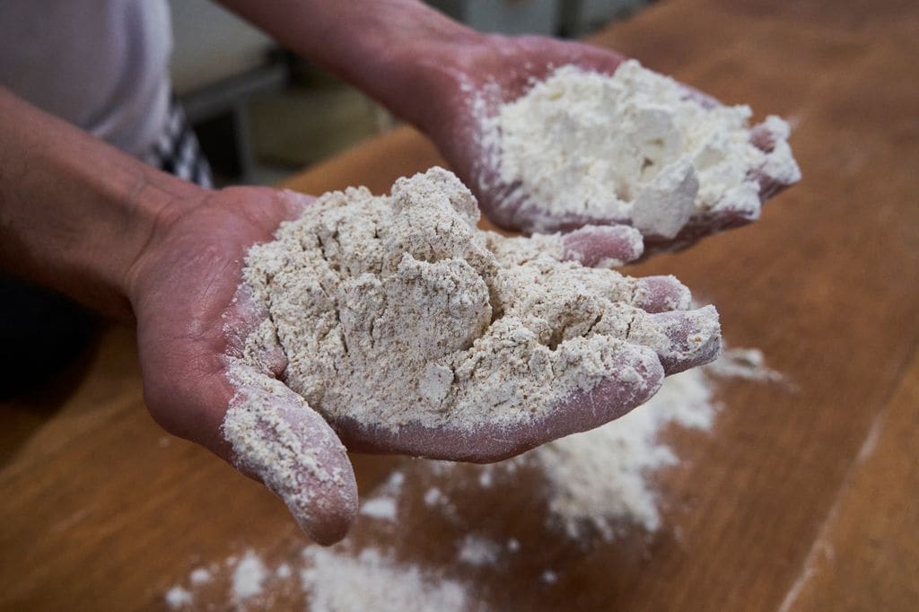 Una materia prima de calidad es de las cosas más importantes para hacer un buen pan y que sea saludable.