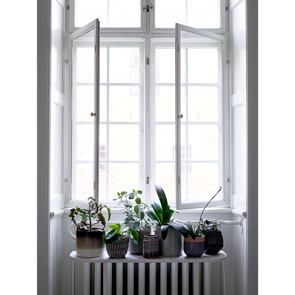 Ventana