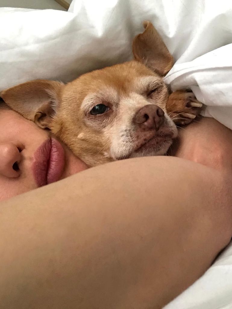 Pasita acompañó a Eiza González por 24 años. 