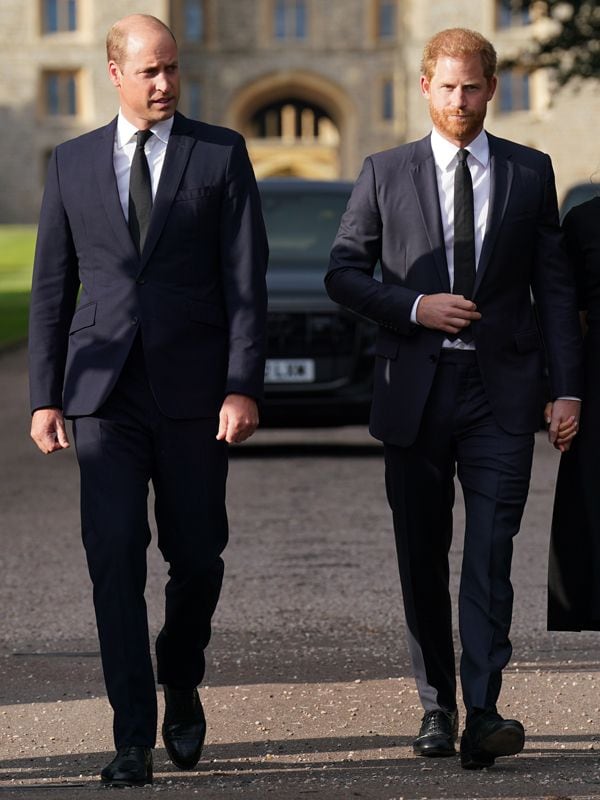 Príncipes Harry y Guillermo de Inglaterra