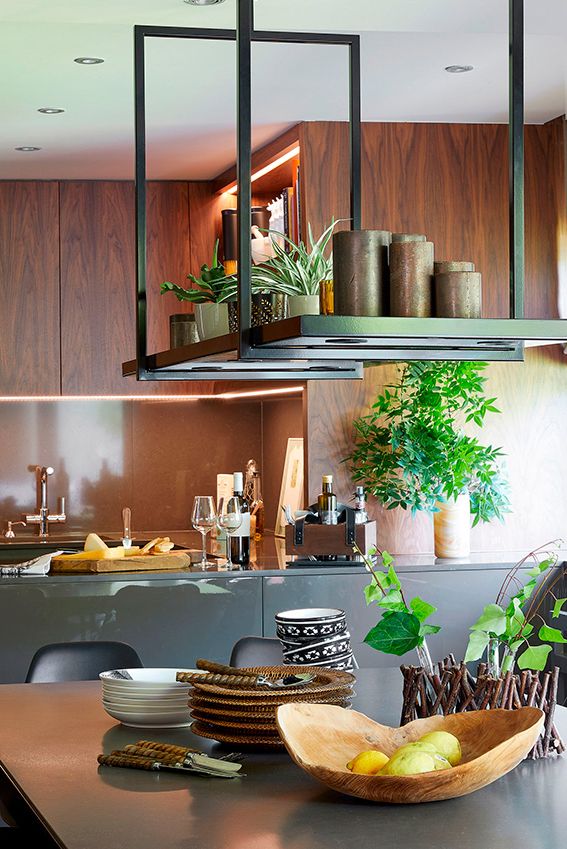 Ideas fáciles y vistosas para decorar con plantas