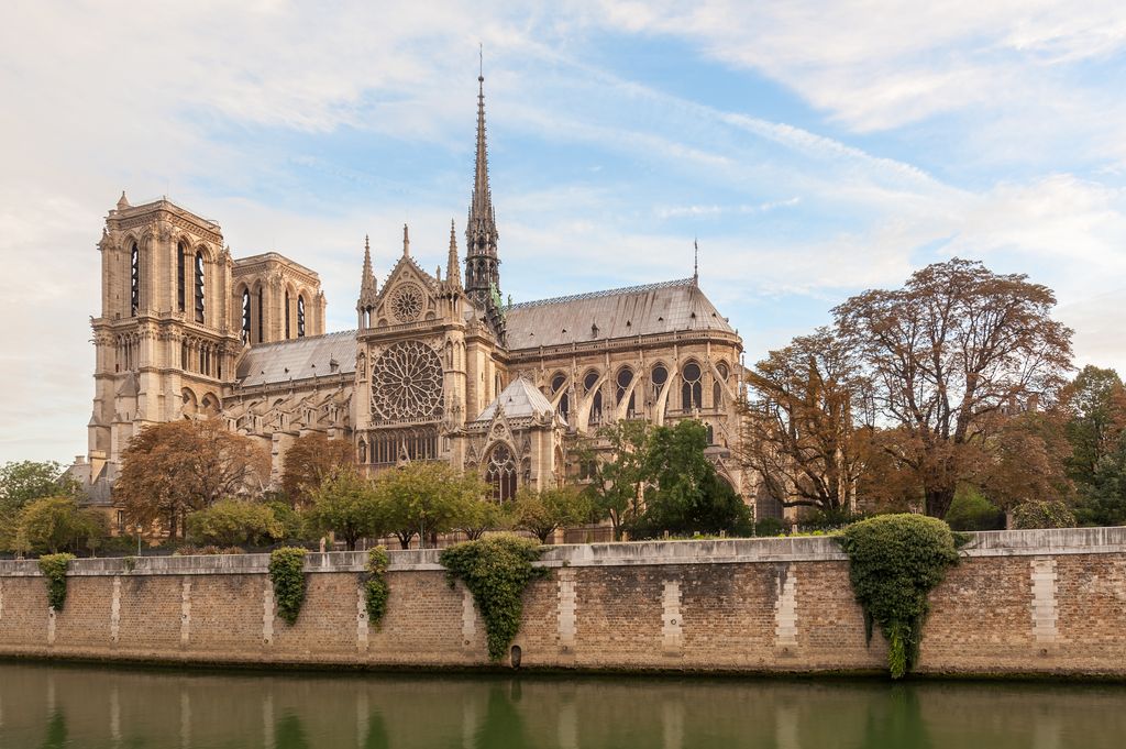Termina el día redescubriendo la recién reinaugurada Notre Dame.