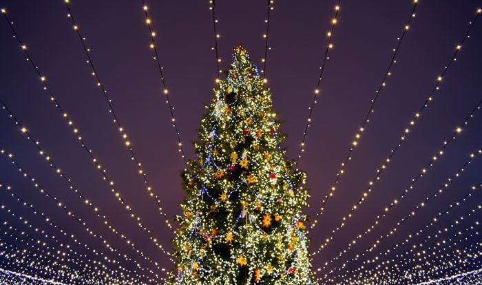 árbol de Navidad