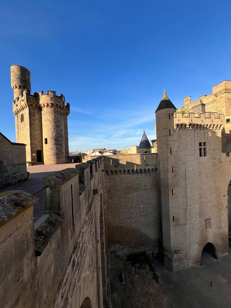 Castillo de Olite