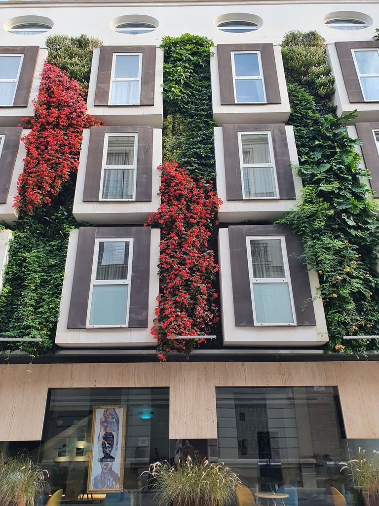 Fachada vegetal en Málaga, en un proyecto de Biotonomy en colaboración con la empresa Bioazul